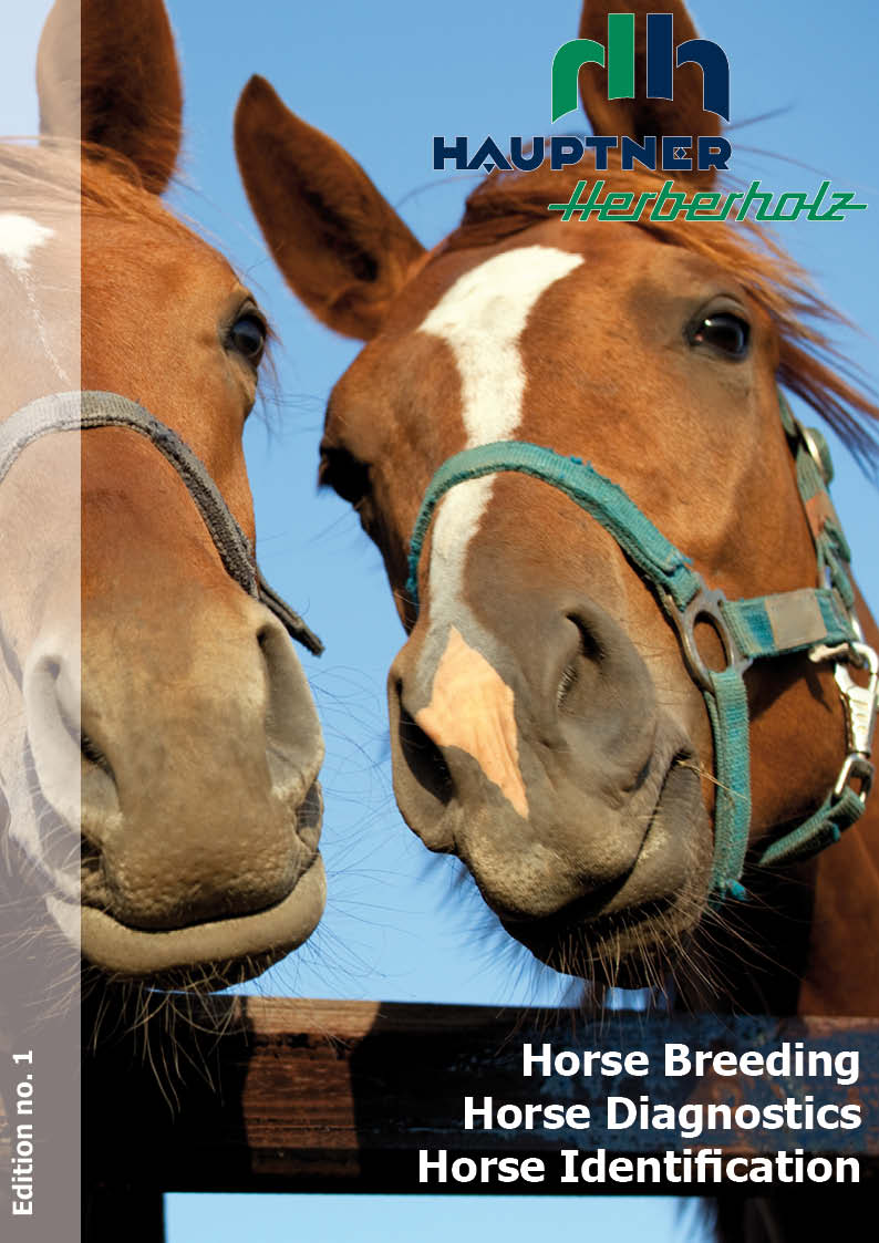 Pferdeprospekt englisch